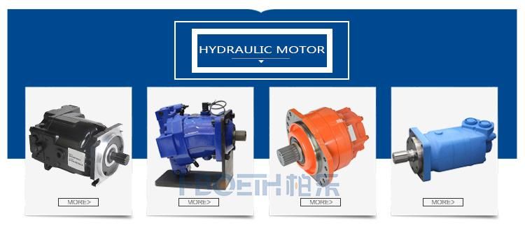 Hydraulic P05 P080 P07 P110 P09 P140 P12 P200 P16 P260 Parker Denison Pump Premier Series High Pressureperformance Piston Pumps