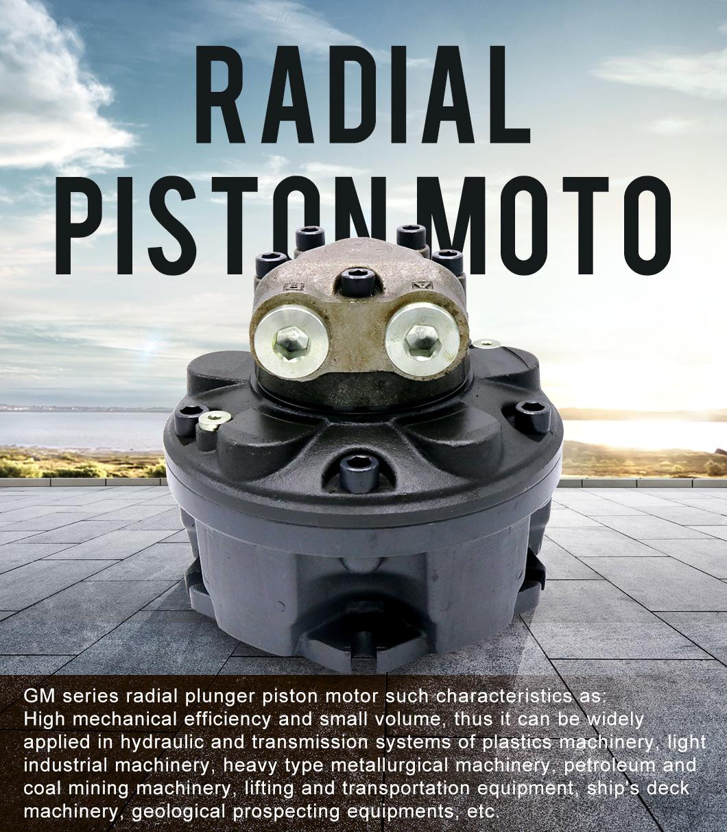 Sai Radial Piston Hydraulic Motor Sai GM Piston Motor