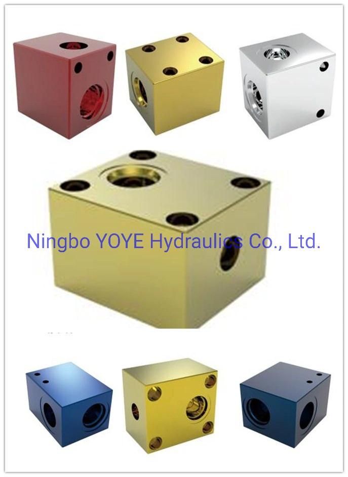 Hydraulic Cover Plates Manifold Blocks