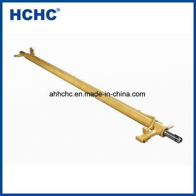 Customized Hydraulic Cylinder Hsg45/36 for Crane