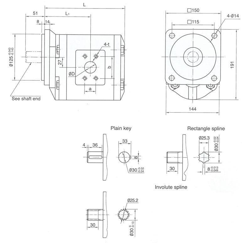 High Pressure Hydraulic Gear Pump