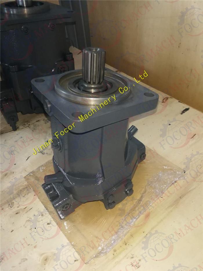 Rexroth Hydraulic Motor A6vm250 with Large Displacement for Sale