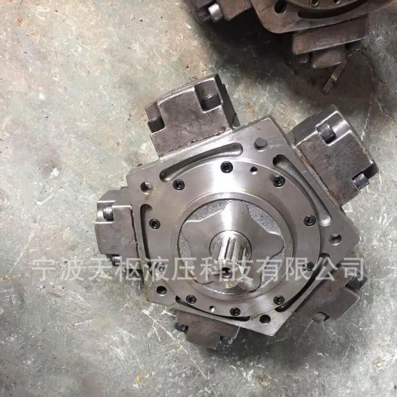 Tianshu Produce Italy Calzoni Intermot Nhm Iam Jmdg Five Star Low Speed High Torque Hidrolik Oil Drive Wheel Radial Piston Hydraulic Motor R8c3000 H6 / Iac3000