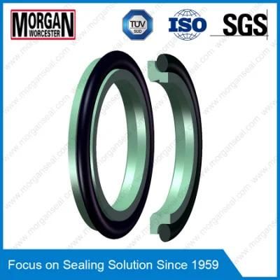 Sz/We3/Ad Profile Double Acting Dust Wiper Seal Ring