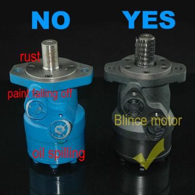 Blince Needle Bearing 315cc OMR Hydraulic Drive Motor