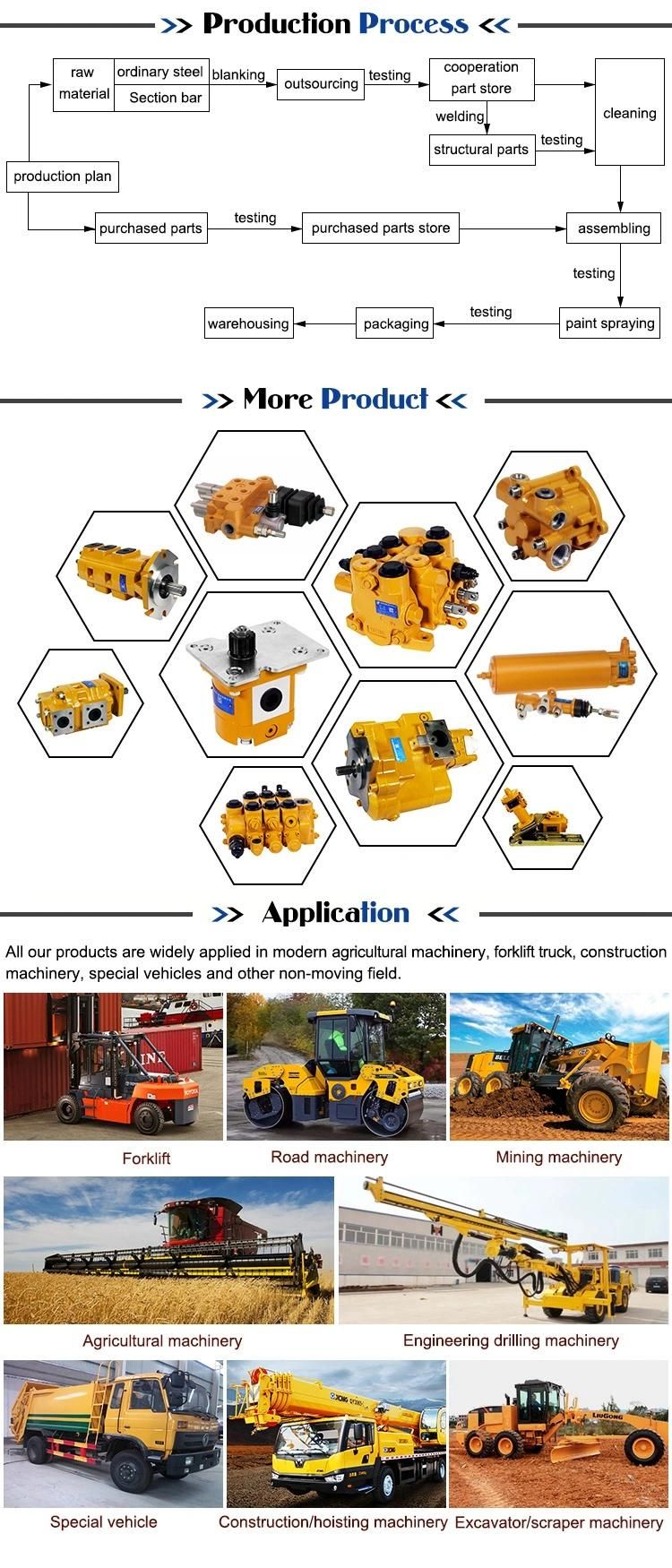 Hot Sale Two-Way Hydraulic Cylinder Hsg50/25 for Agriculture