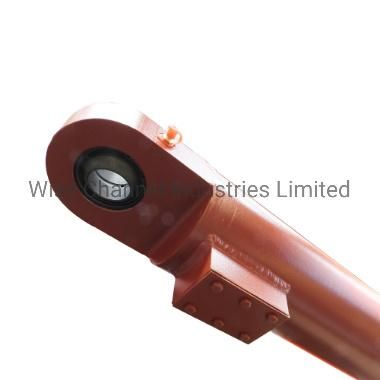 Double- Acting Swing Hydraulic Cylinder for Engineering