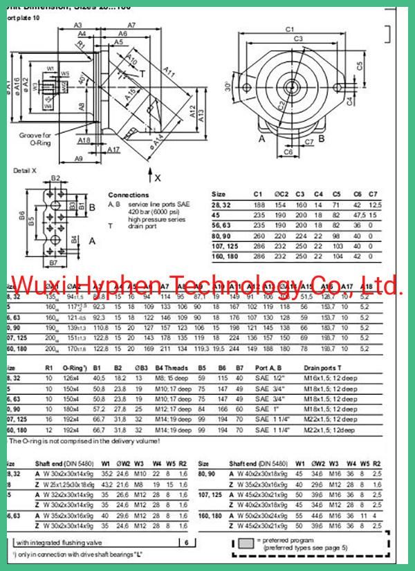 Plug Motor for Road Vichile Hydraulic Motor (A2FE80/90/160)