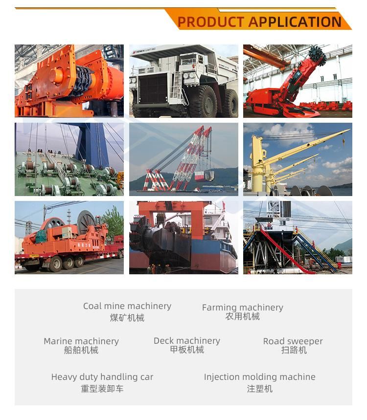 GS RoHS CE ISO9001 Radial Piston Type High Quality Tianshu Hydraulic Motor for Marine Machinery/Deck Machinery/Coal Mine Machinery/Farming Machinery