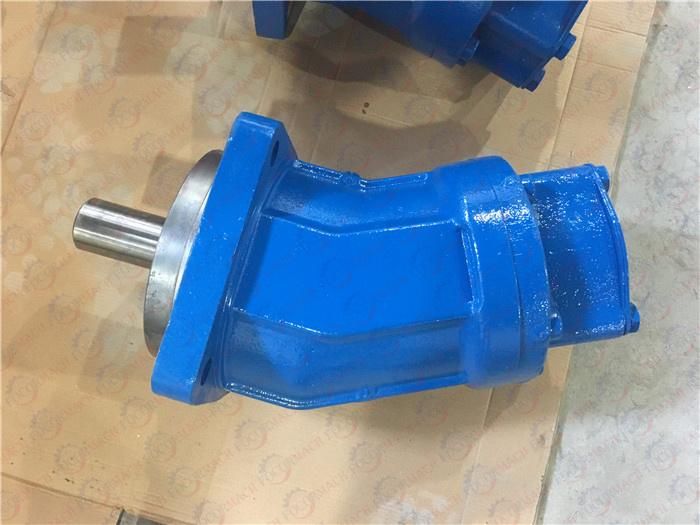 Rexroth Hydraulic Pump A2fo23 From China for Use in Roller