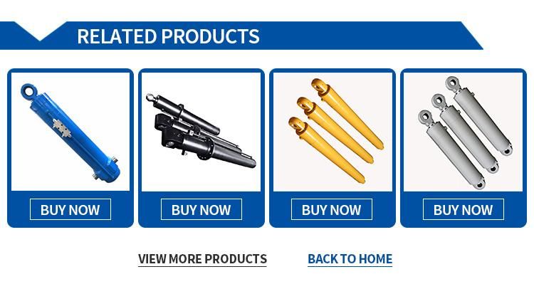 Double Acting Support Swing Hydraulic Cylinder Used in Engineering