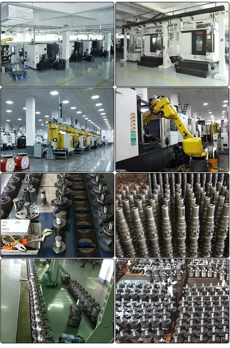 China Factory High Speed Hydraulic Motor Bm5 for Fishing Machinery OEM