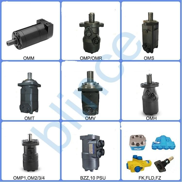 Chinese Competitive Price White / Parker Hydraulic Motor Chinese Omer Bmer Hydraulic Motor