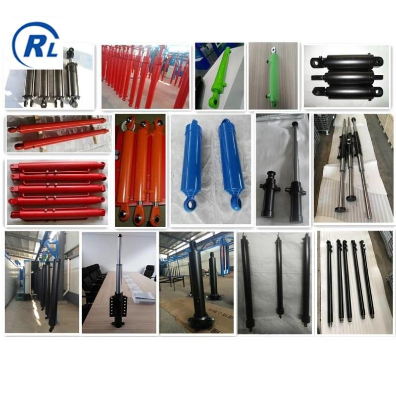 Qingdao Ruilan Customize High Quality Agricultrue Hydraulic Cylinder for Sale