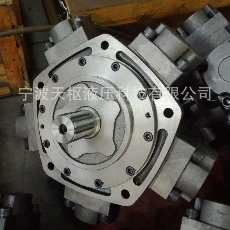 Tianshu Produce Italy Calzoni Intermot Nhm Iam Jmdg Five Star Low Speed High Torque Hidrolik Oil Drive Wheel Radial Piston Hydraulic Motor R8c3000 H6 / Iac3000