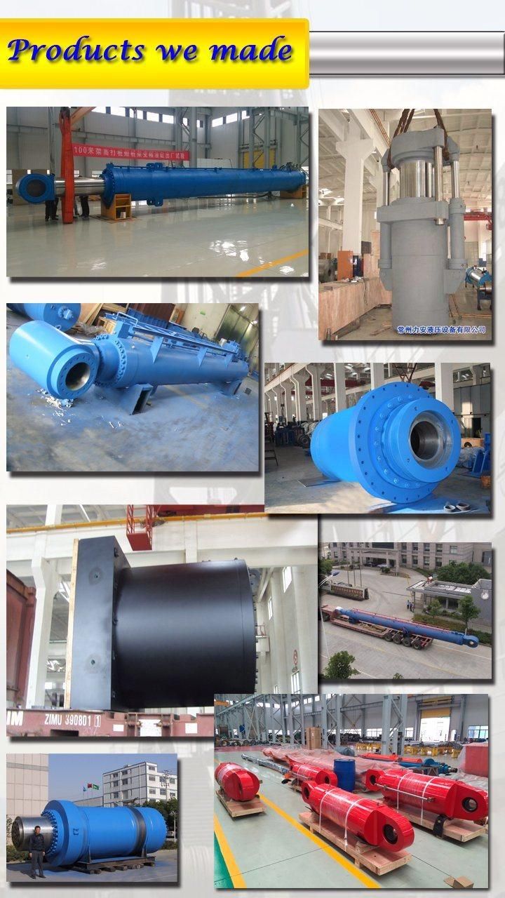 10500mm Stroke 300mm Bore Diameter Hydraulic Hoist