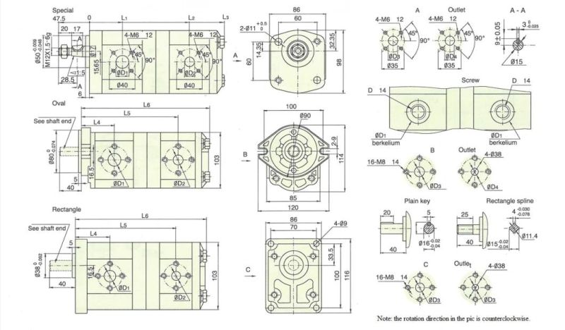 High Pressure Hydraulic Gear Pump Cbwlsa-F306/F306-Cfp