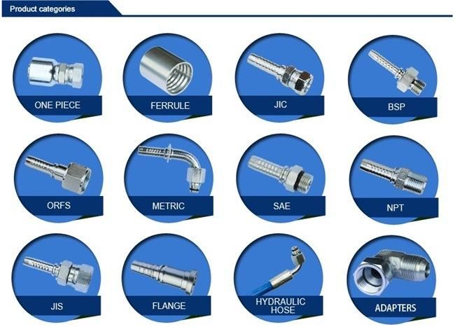 Professional Carbon Steel Braided Hose Hydraulic Fittings