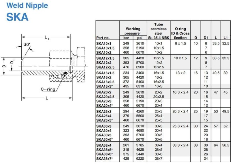 SS316/304 Stainless Steel DIN2353/ ISO8434.1 Butt Weld Nipple