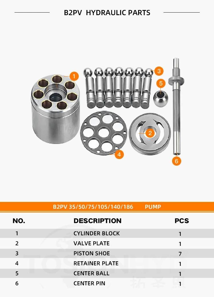 B2PV 35/50/75/105/140/186 B2PV35 B2PV50 B2PV75 B2PV105 B2PV140 B2PV186 Hydraulic Pump Parts with Linde Spare Repair Kit