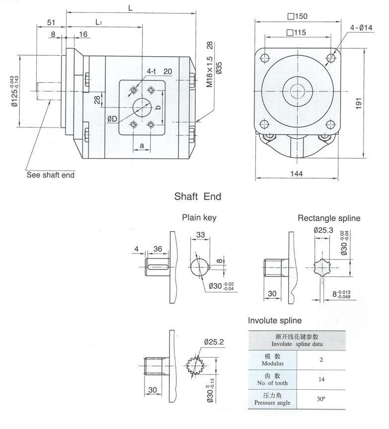 High Speed Hydraulic Parts Hydraulic Gear Motor Cmg2063-Bfps