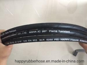 DIN En 853 SAE 100 R2/2sn Two Steel Wire Spiral High Pressure Hydraulic Hose