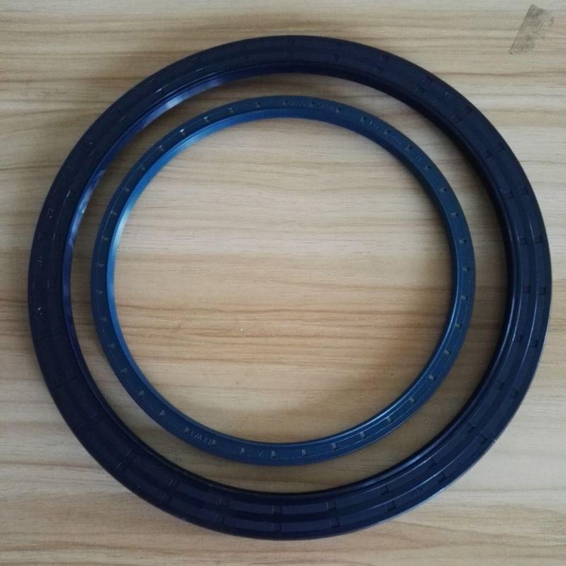 Shaft Lip Seal Hydraulic Spare Parts for Radial Piston Hydraulic Motor Staffa Hmb Hmc Series Hagglunds Ca Series.