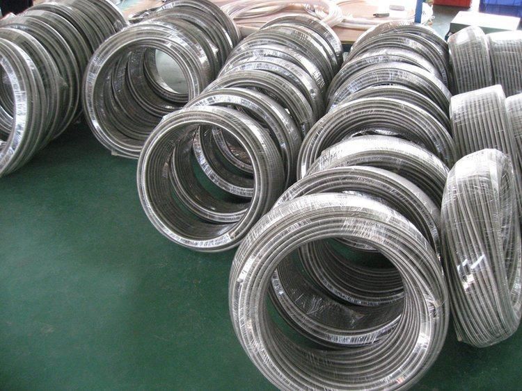 High Temperature Iron Corrugated Hose with Braiding SS304 PTFE Teflon Hose