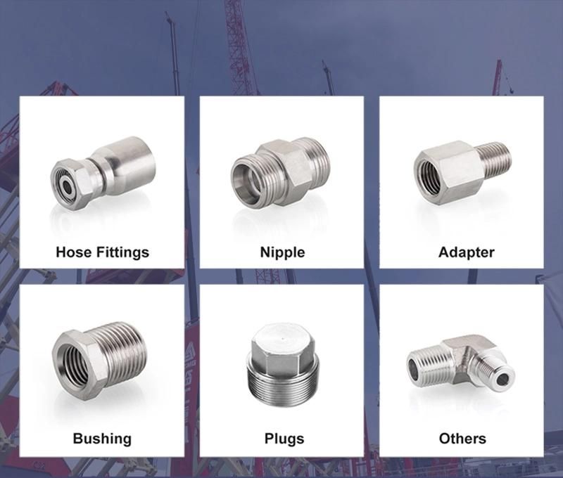 Stainless Steel Hydraulic Socket Hydraulic Hose Fittings Ferrule