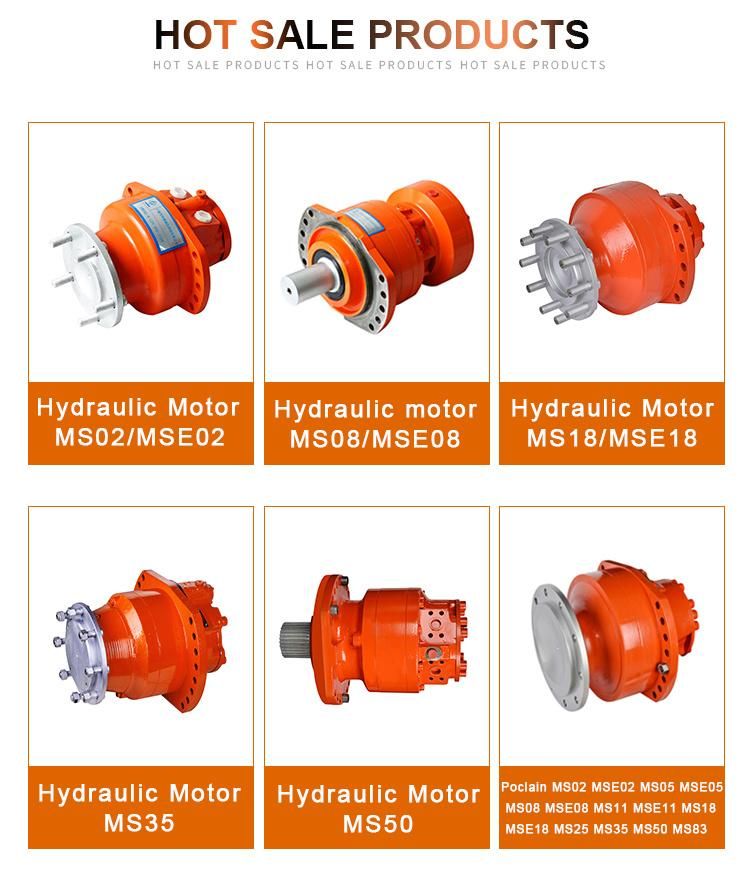 China Made Poclain Ms25 Motor