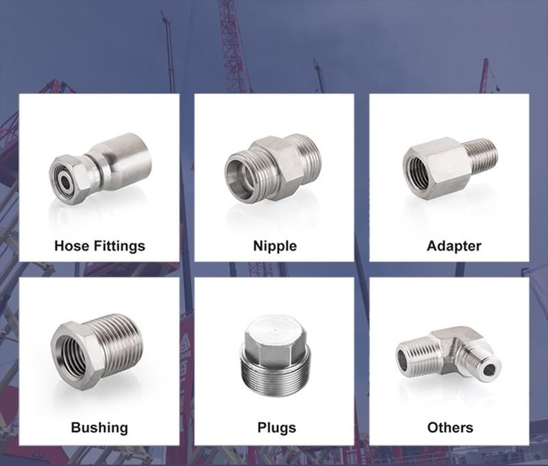 Eaton Standard 90 Degree Bsp Female Hose Fitting