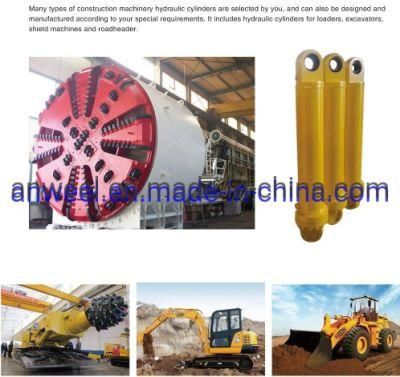 Excavators Construction Machinery Dump Truck Hydraulic Cylinder for IATF 16949: 2016