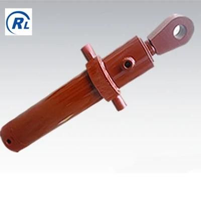 Qingdao Ruilan Customzie Double-Acting Hydraulic Cylinder for Special Equipment