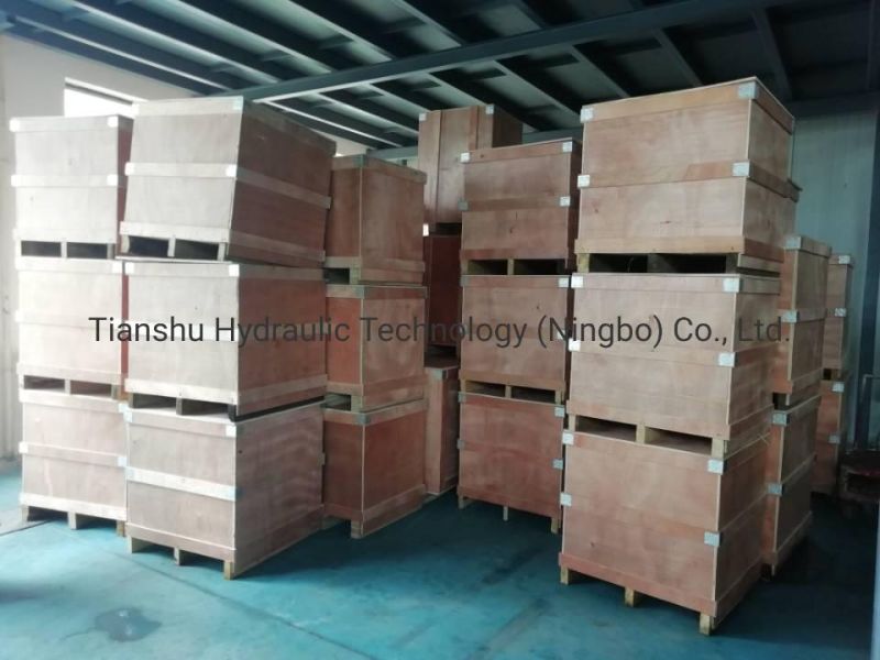 Hagglunds Hydraulic Motor Maintenance Package Sealed Packet Repair Kits Radial Piston Type Plunger Type for Mining Machinery and Marine Ship.