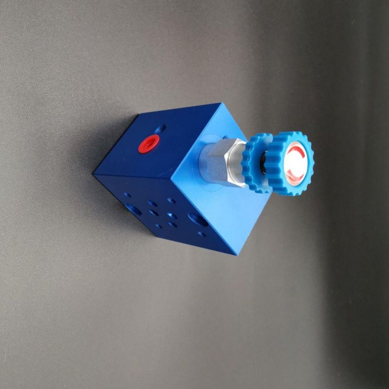 Blue Oxidation CNC Machined One Station Valve Blocks with Relief Valve