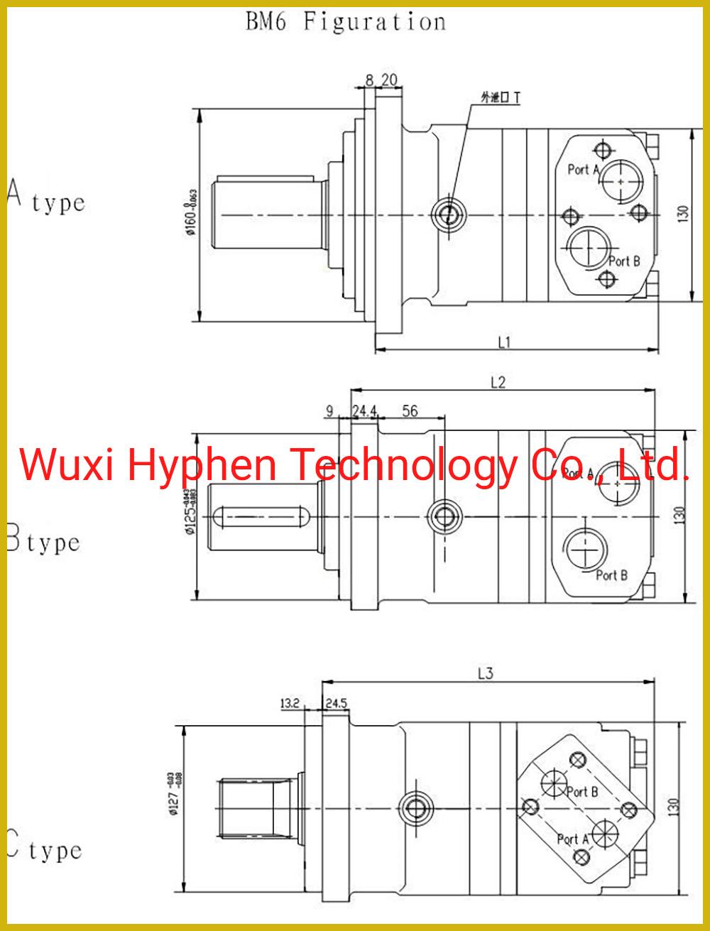 Hydraulic Motor Gerotor Motor Paker (TE. TF. TG) White (RE) Eaton Char-Lynn (H. S. T series) OEM Replacement (OMM/OMP/OMR/OMS/OMT/2K/6K)