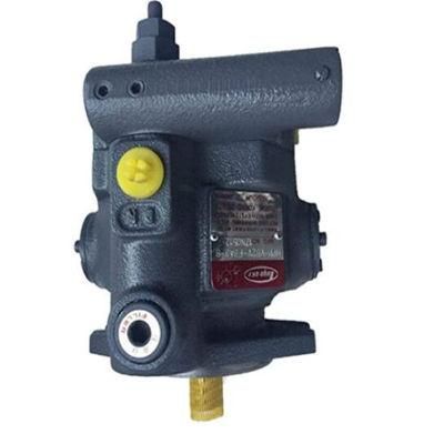 Japan Original Toyooki Oil Pumps Hpp-Vd2V Series Variable Plunger Piston Pump Hpp-Vd2V-L31A3-a