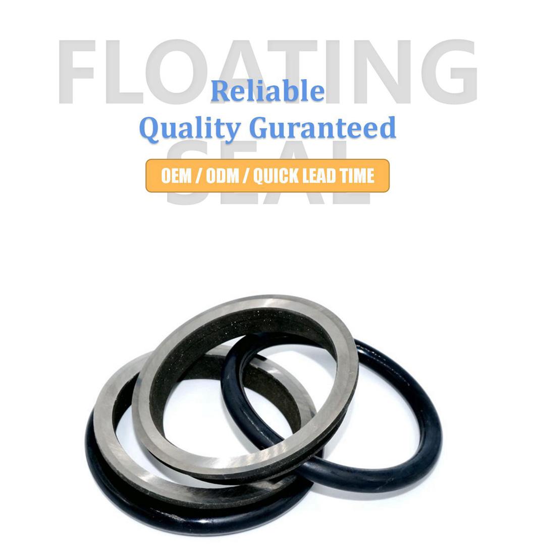 OEM Duo-Cone Floating Seal for Geotze
