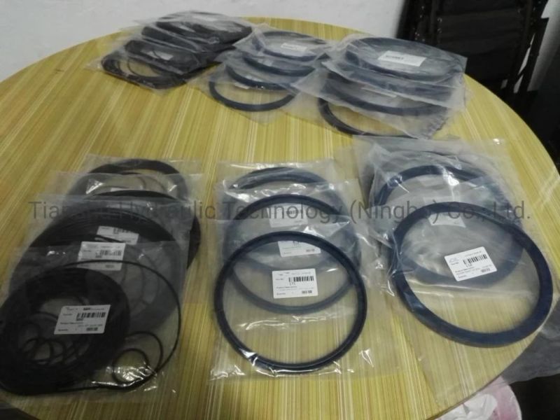 Hydraulic Spare Parts, Fitting Seal Parts, Repair Kits, O Ring, Piston Ring, Shaft Lip Seal for Hagglunds Radial Piston Hydraulic Motor.