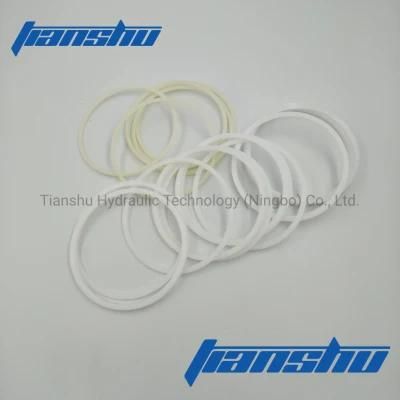 Kawasaki Staffa Hydraulic Motor Spare Parts and Repair Kits O Ring Seal Kits Shaft Lip Seal, Piston Ring.