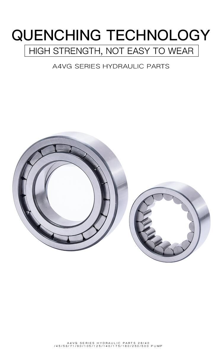 A4vg Spare Hydraulic Pump Parts - Bearing with Rexroth