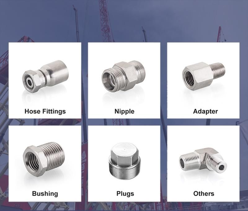 Hydraulic Parker 43 Series Stainless Hose Crimping Fittings