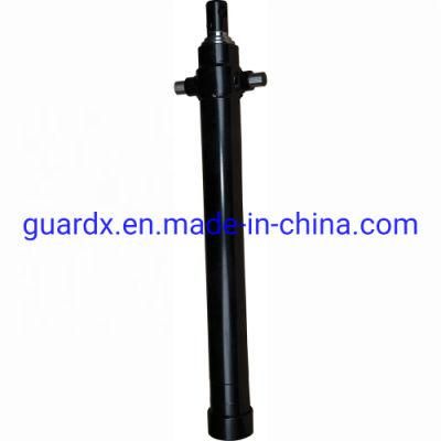 OEM Standard Hydraulic Cylinder for 4s Store Car Lifting