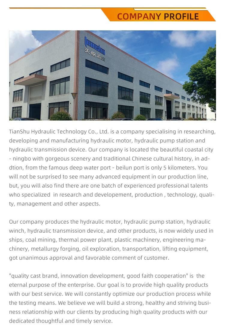Tianshu Hmb100 Staffa Hydraulic Motor ISO9001 CE RoHS GS High Quality for Construction Machinery/Deck Machinery/Mining Machinery