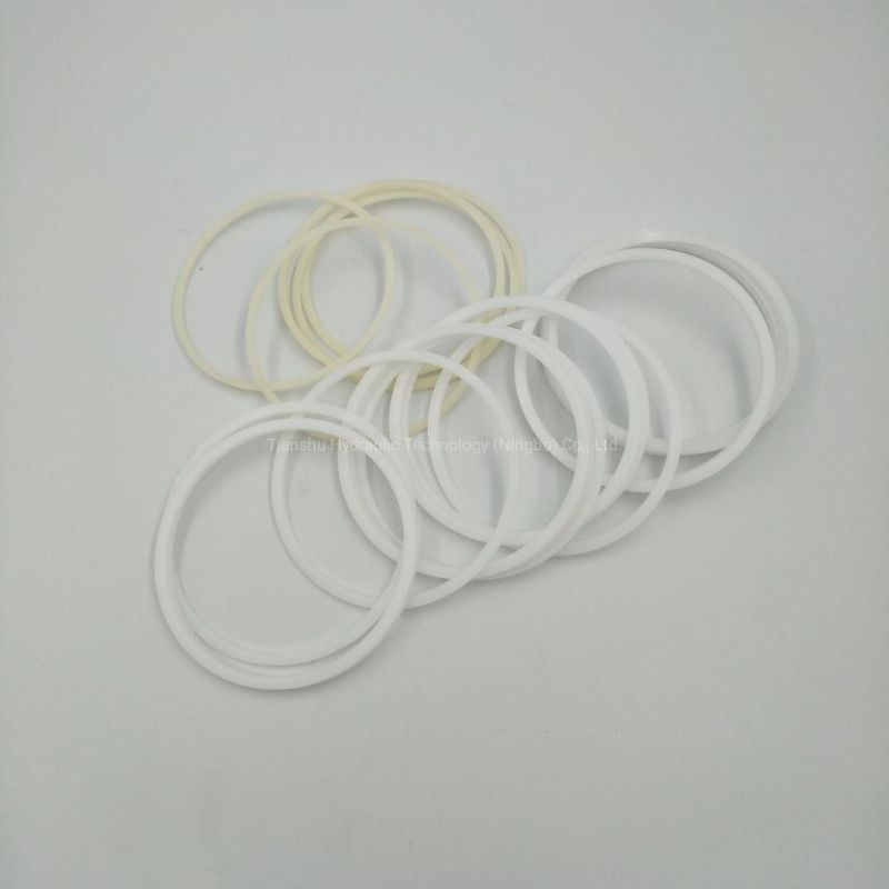 Hydraulic Fitting Seal Parts, O Ring, Piston Ring, Shaft Lip Seal for Hydraulic Hagglunds Motor.