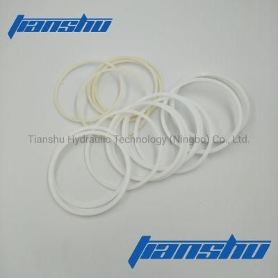Hydraulic Spare Parts Piston Ring O Ring for Hydraulic Staffa Motor and Hagglunds Motor.