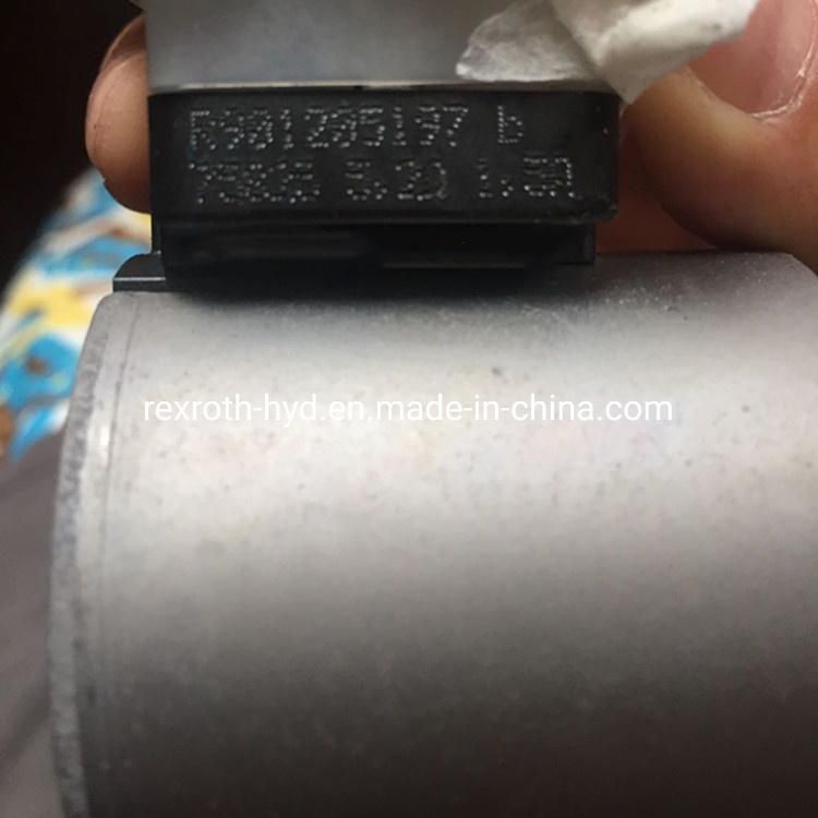 Electroproportional Valve Solenoid Valve Coil Hydraulic Valve Coil 3drep6c-21 Coil R901205197 B R901022174A 193480