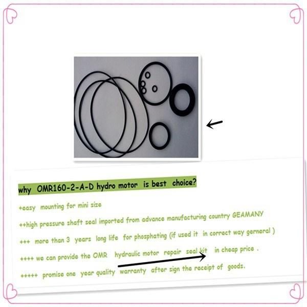 Blince Double Needle Bearing Big Radial Force OMR160 Hydraulic Motor