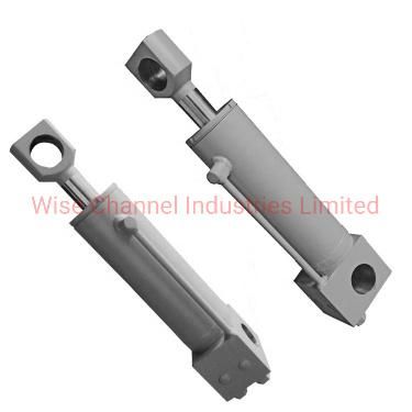 Double Acting Tail Gate Hydraulic Cylinder Used in Environmental Sanitation Equipment