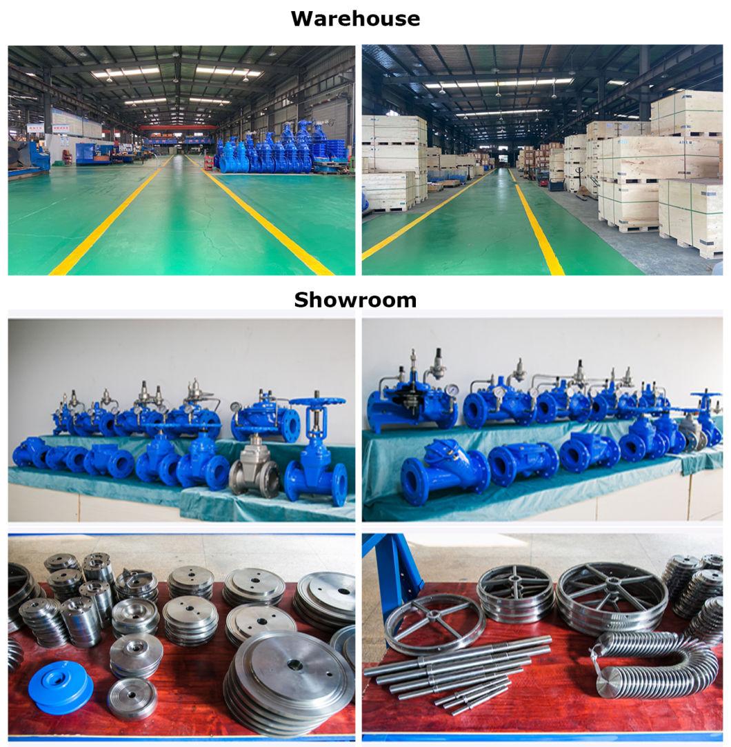 Stainless Steel Hydraulic Surge Anticipating/Anticipator Valve/Auto Parts/Industrial Valve/Control Valve